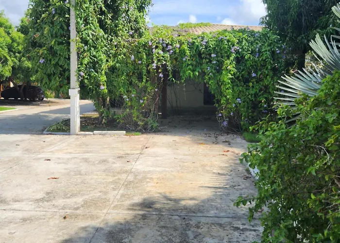 Eventos Villa Garden