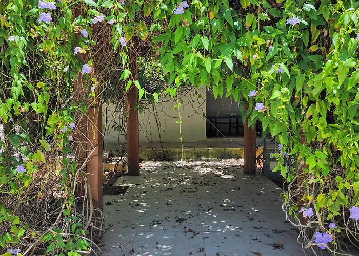 Eventos Villa Garden